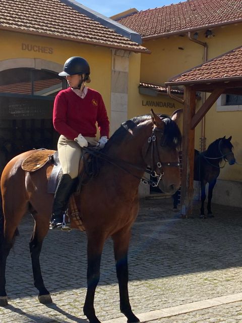 Lisbon: Morning of Equestrian Art With Lusitano Horses - Photography and Safety Guidelines