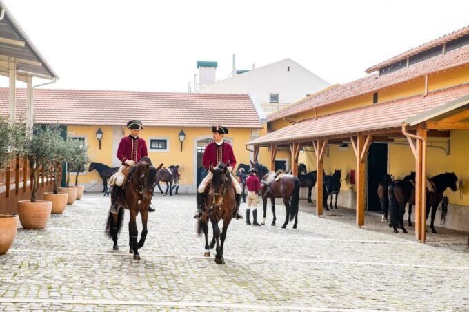 Lisbon: Morning of Equestrian Art With Lusitano Horses - Equestrian Cultural Heritage