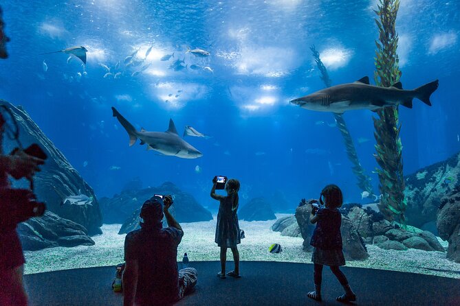 Lisbon Oceanario: Aquarium Entrance Ticket - Marine Habitat Representations