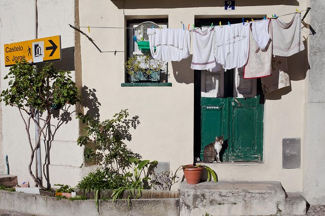 Lisbon Off The Beaten Track and Main Sights Private Walking Tour - Wander Through Old Royal Square