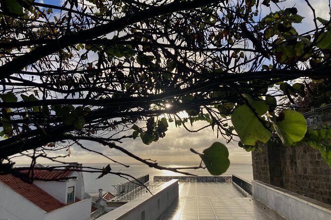 Lisbon Off The Beaten Track and Main Sights Private Walking Tour - Discover Trendy Shipyards and Docks