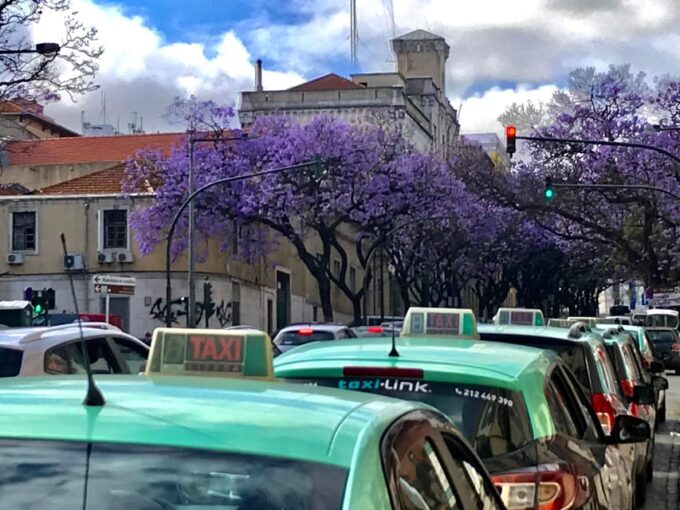 Lisbon: Old Town and Chiado Vintage Car Tour - Visiting Notable Viewpoints