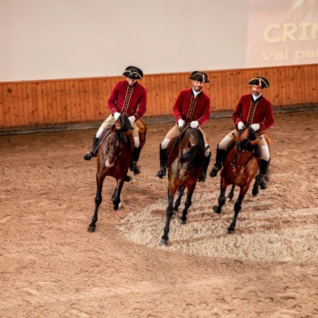 Lisbon: Portuguese Riding School Trainig With Lusitano Horse - Experience Highlights