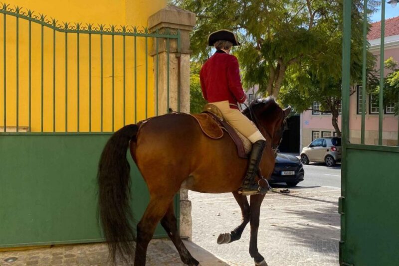Lisbon: Portuguese Riding School Trainig With Lusitano Horse - Ticket Inclusions