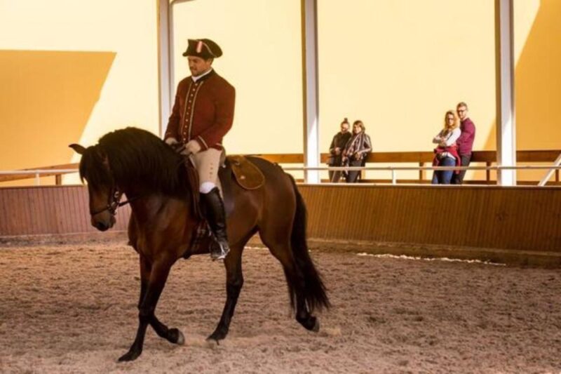 Lisbon: Portuguese Riding School Trainig With Lusitano Horse - Location and Accessibility