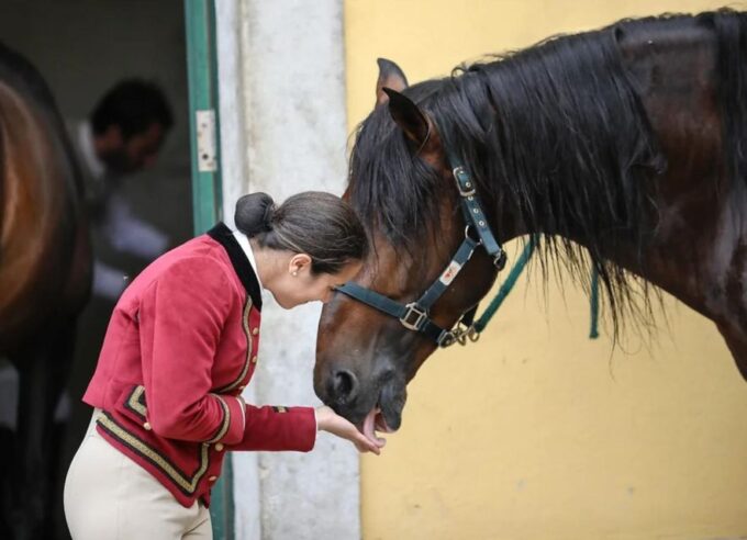 Lisbon: Portuguese Riding School Trainig With Lusitano Horse - Frequently Asked Questions