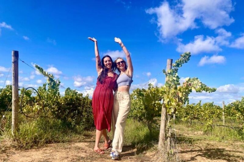 Lisbon: Private Full Day Evora & Alentejo Wine Tour - Évora: UNESCO Heritage Site