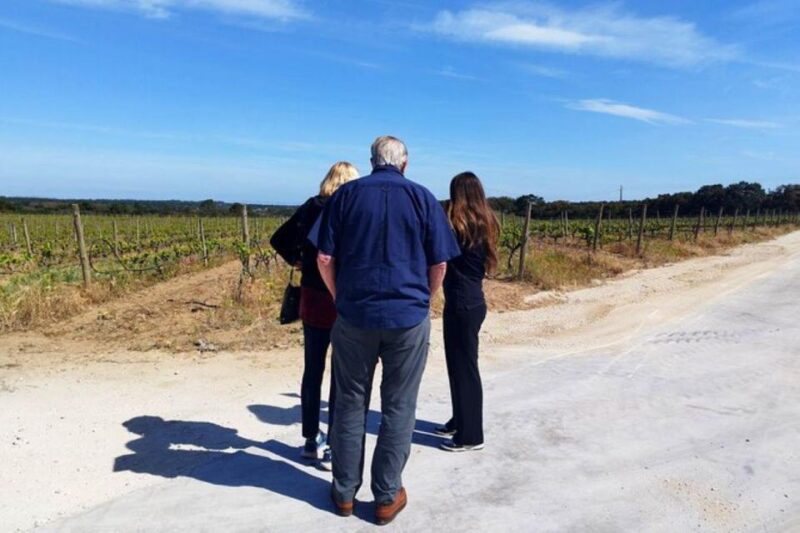 Lisbon: Private Full Day Evora & Alentejo Wine Tour - Winery Visits