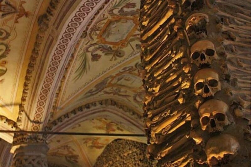 Lisbon: Private Full Day Evora & Alentejo Wine Tour - Cork Production
