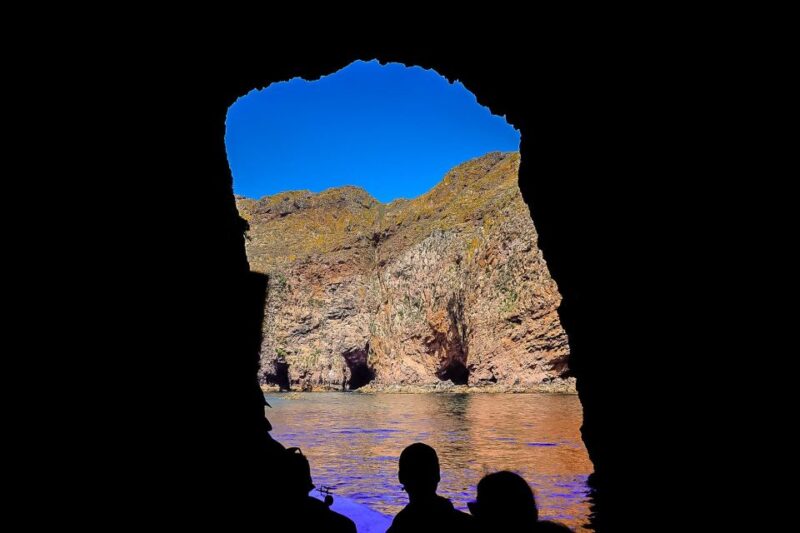 Lisbon: Private Full Day Tour to Berlengas Island - Key Points