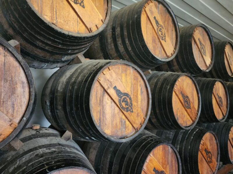 Lisbon: Private Setubal & Arrabida Wine Tour With Lunch - Key Points