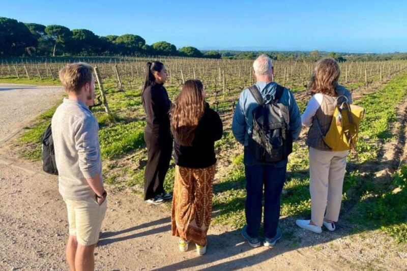 Lisbon: Private Setubal & Arrabida Wine Tour With Lunch - Inclusions