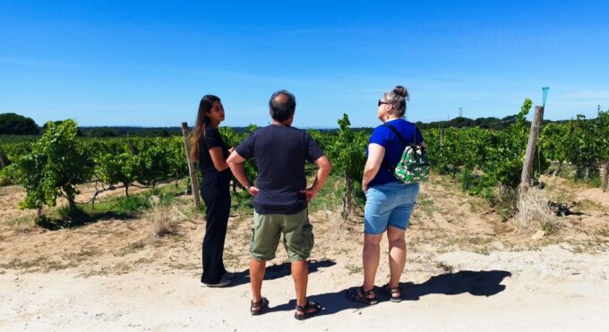 Lisbon: Private Setubal & Arrabida Wine Tour With Lunch - Culinary Experiences