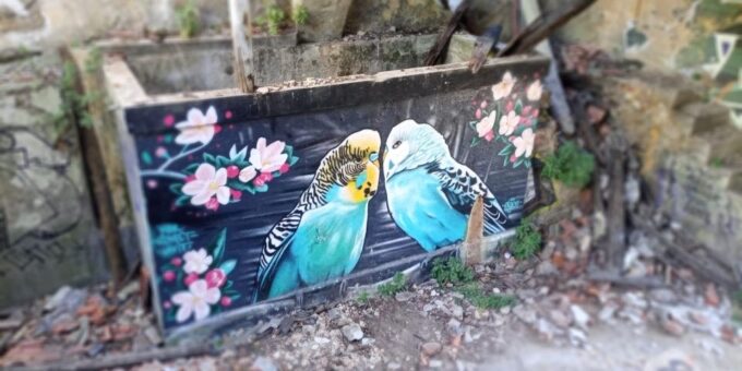 Lisbon: Private Tuk-Tuk Street Art Tour for 2,5 Hours - Duration and Price
