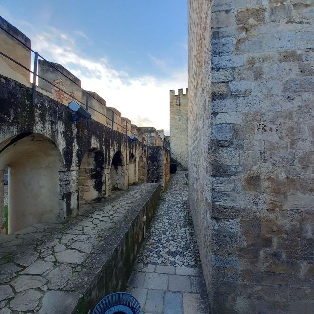 Lisbon: São Jorge Castle Skip-The-Line Entry With Audioguide - Castle Gardens and History