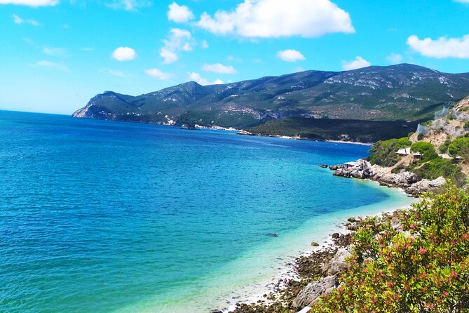 Lisbon: Serra Da Arrabida, Setubal, Sesimbra Private Tour - Discovering Setubal
