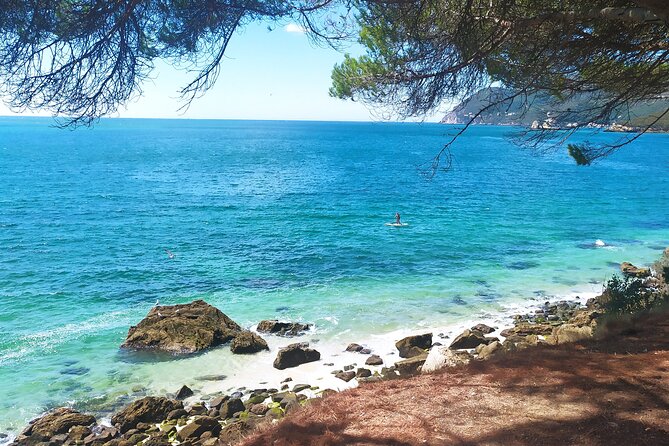 Lisbon: Serra Da Arrabida, Setubal, Sesimbra Private Tour - Exceptional Reviews