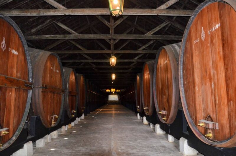 Lisbon: Snorkeling and Wine Tasting in Arrábida - Key Points