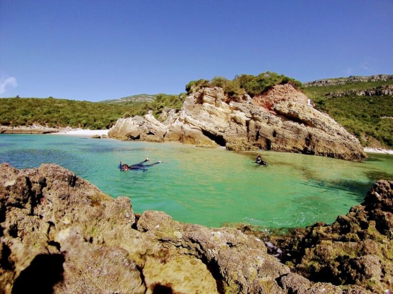 Lisbon: Snorkeling and Wine Tasting in Arrábida - Itinerary Highlights