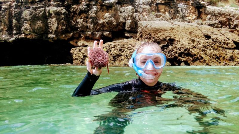 Lisbon: Snorkeling and Wine Tasting in Arrábida - Meeting and Pickup Details