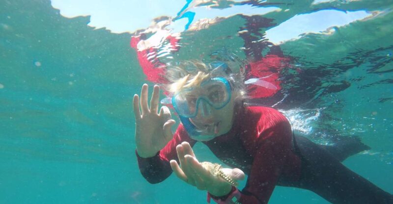 Lisbon: Snorkelling in Sesimbra/Arrábida Natural Park - Key Points