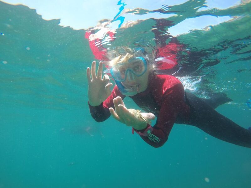 Lisbon: Snorkelling in Sesimbra/Arrábida Natural Park - Key Points