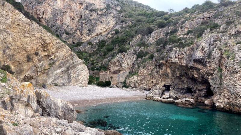 Lisbon: Snorkelling in Sesimbra/Arrábida Natural Park - Exploring Marine Life