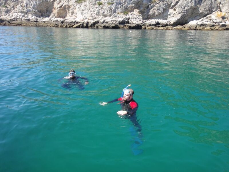 Lisbon: Snorkelling in Sesimbra/Arrábida Natural Park - Customer Feedback