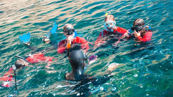 Lisbon: Snorkelling in Sesimbra/Arrábida Natural Park - Booking and Cancellation