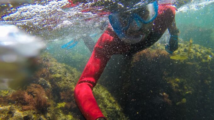 Lisbon: Snorkelling in Sesimbra/Arrábida Natural Park - What to Bring