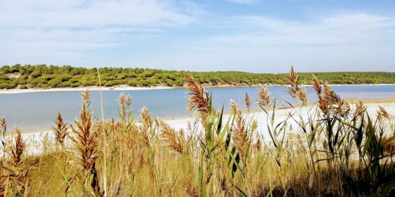 Lisbon: Stand Up Paddle Adventure at Albufeira Lagoon - Inclusions and Exclusions