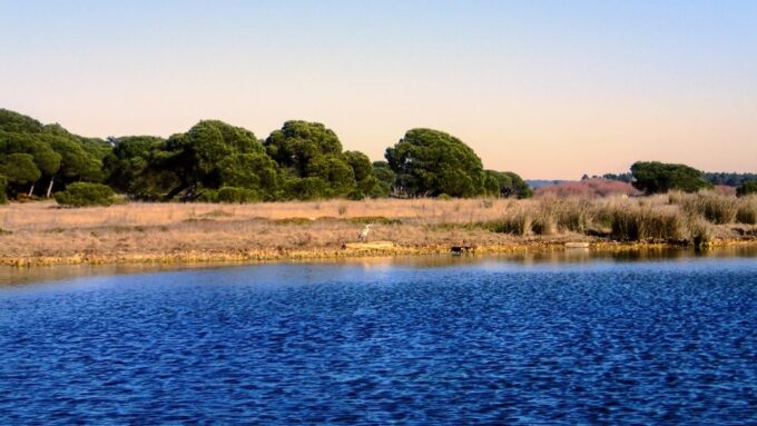 Lisbon: Stand Up Paddle Adventure at Albufeira Lagoon - New Skills and Stress Relief