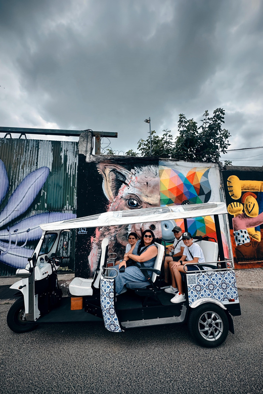 Lisbon: Street Art Lovers With Tuktuk - Itinerary Highlights
