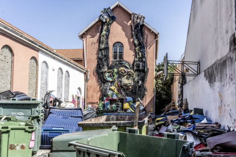 Lisbon: Street Art TukTuk Tour - Exploring Alfama