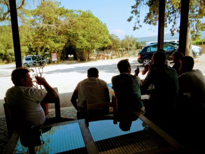Lisbon: Surf or Bodyboard and Wine Tasting - Weather Considerations and Alternatives
