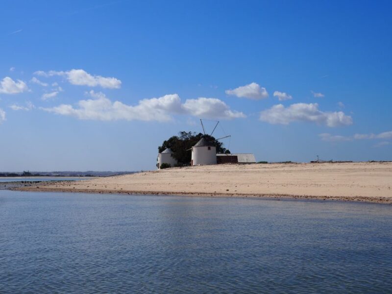Lisbon: Tagus Estuary Nature Reserve Birdwatching Boat Tour - Guided Experience
