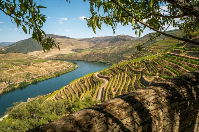 Lisbon to Douro Valley Direct Transfer | Premier Experience - Accessibility and Safety