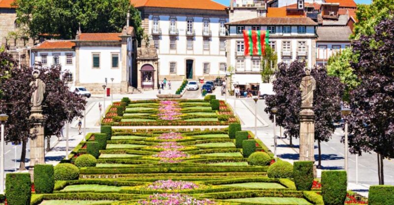 Lisbon to Minho Transfer - Driver Qualifications