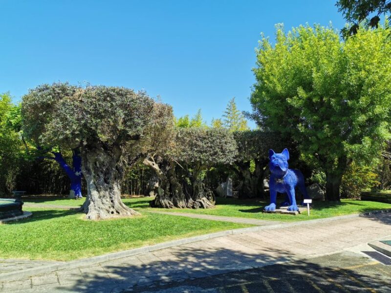 Lisbon to Wine Tasting Setubal, Two Cellars, Half Day Tour - Itinerary Details