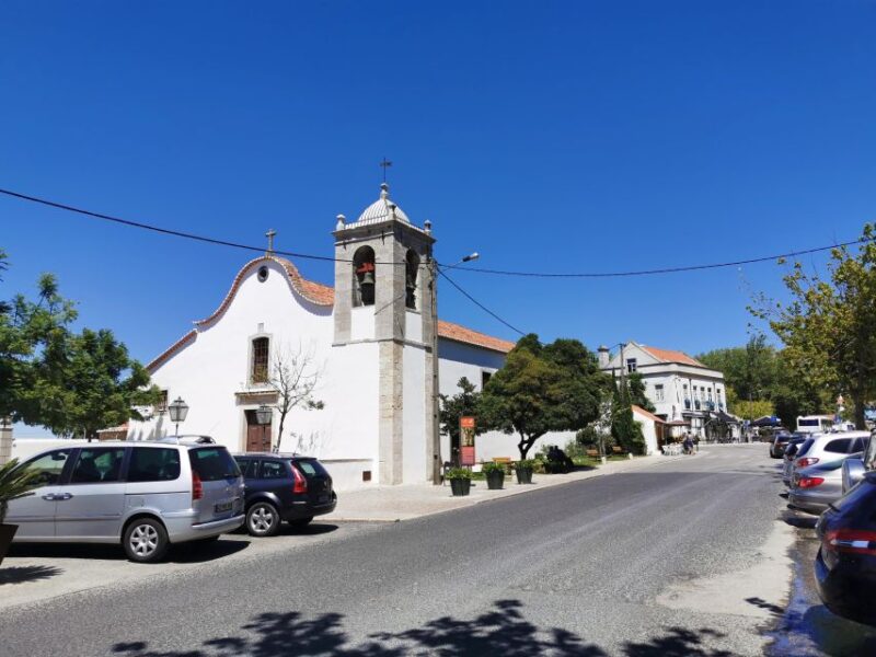 Lisbon to Wine Tasting Setubal, Two Cellars, Half Day Tour - Wine Tasting Experience