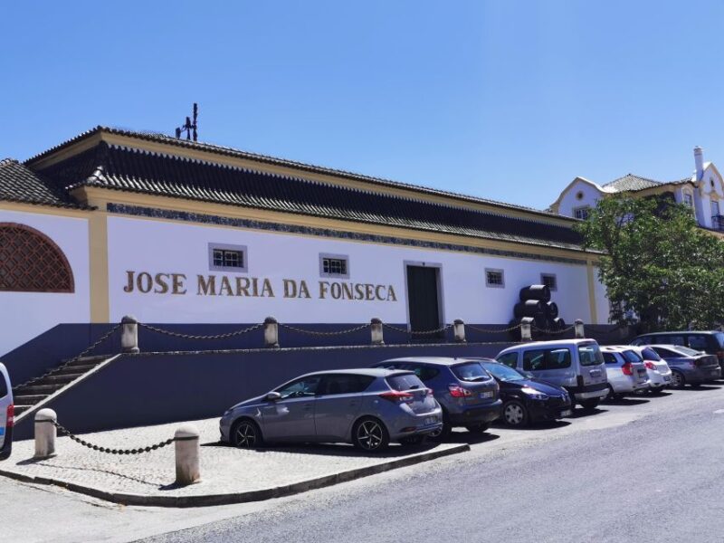 Lisbon to Wine Tasting Setubal, Two Cellars, Half Day Tour - Customer Feedback