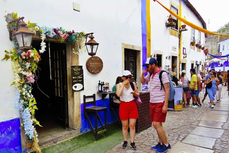 Lisbon: Transfer to Porto With Stops in Óbidos-Nazaré-Aveiro - Vehicle Type and Amenities
