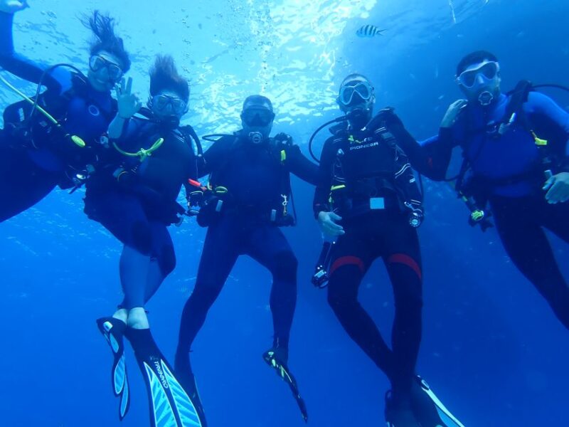 Lisbon: Try Dive in Arrábida Natural Park and Marine Reserve - Discovering the Marine Park