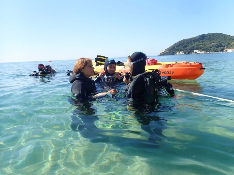 Lisbon: Try Dive in Arrábida Natural Park and Marine Reserve - Diverse Marine Ecosystem