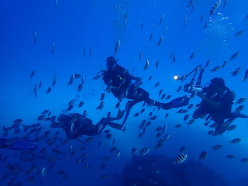 Lisbon: Try Dive in Arrábida Natural Park and Marine Reserve - Program Structure and Safety
