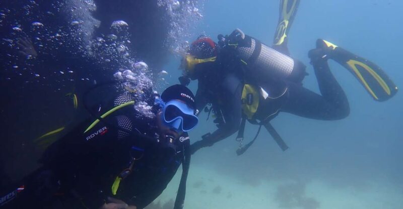 Lisbon: Try Dive in Arrábida Natural Park and Marine Reserve - Included Equipment and Gear