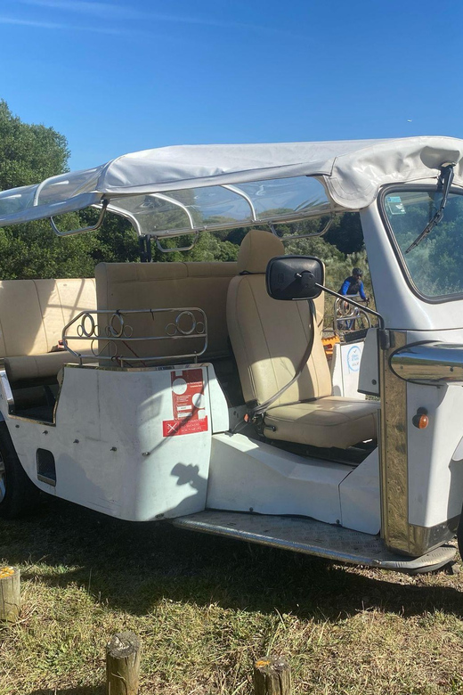 Lisbon: Tuk Tuk Tour With Wine and Tapas Tasting - Key Points
