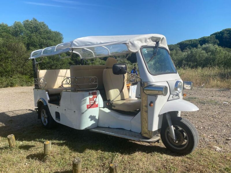 Lisbon: Tuk Tuk Tour With Wine and Tapas Tasting - Inclusions for Participants