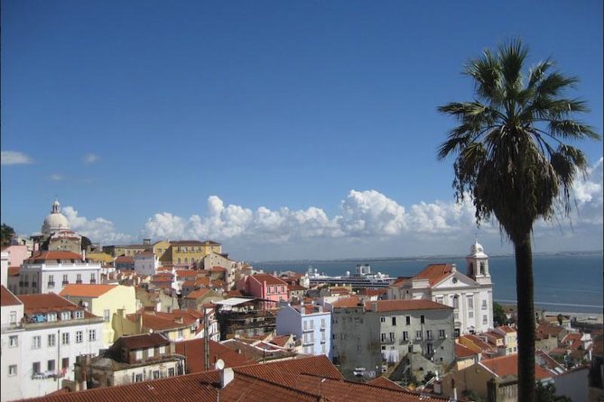 Lisbon Walking Tailored Private Tour (Half Day) - Customer Reviews and Testimonials