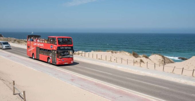 Lisbon: Walking Tour & Hop-On Hop-Off Bus Tour (24 or 72hr) - Operator Information